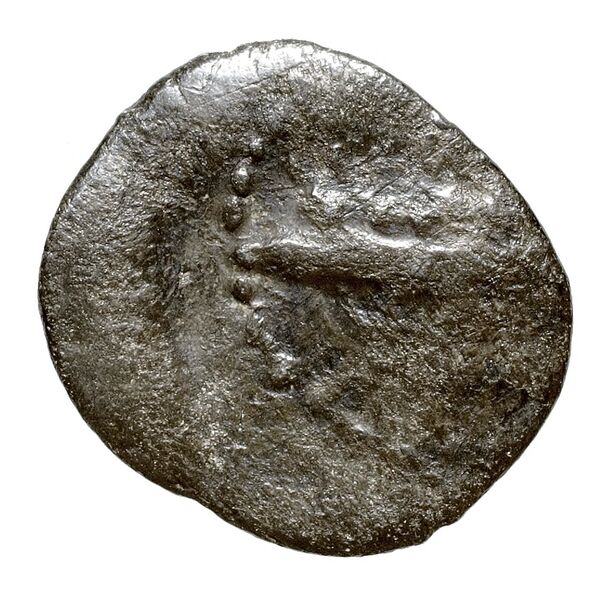 Tennes, King of Sidon Sidon Elayi 2004 IV.3.2, аверс, bnf-iris