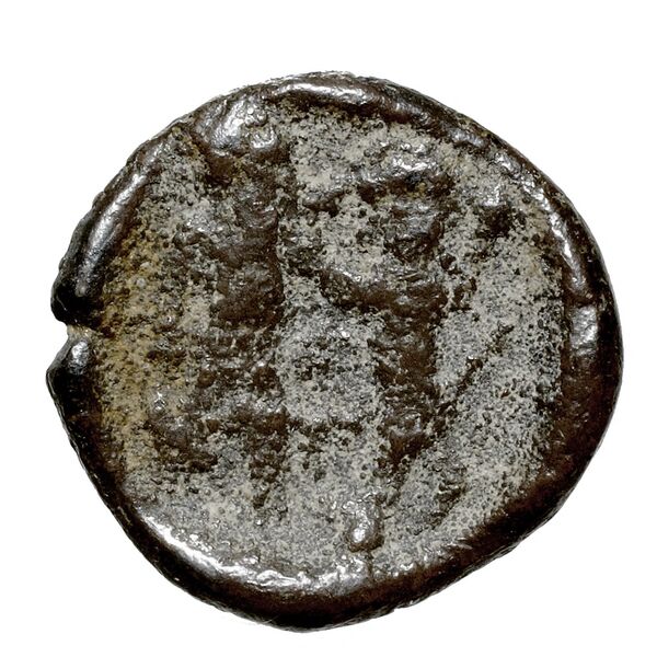 Tennes, King of Sidon Sidon Elayi 2004 IV.3.2, реверс, bnf-iris
