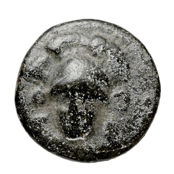 Phocian League Phocis BMC Phocis 66-67, аверс, bnf-iris