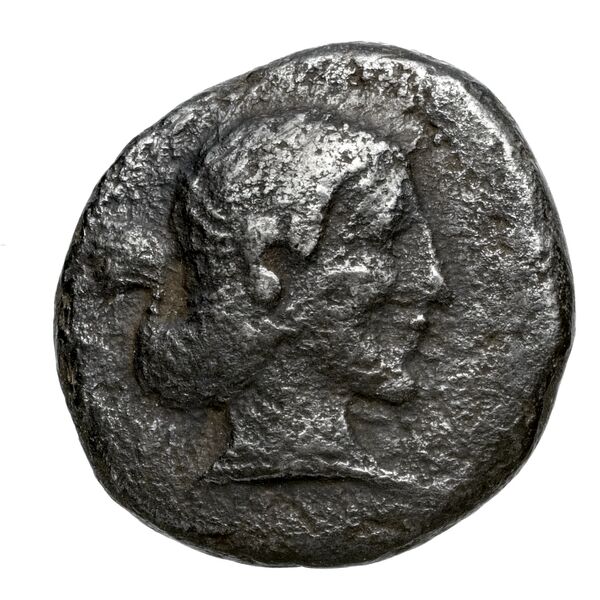 Teththiweibi Phellus Hoff 2017 M263-5, obverse, bnf-iris