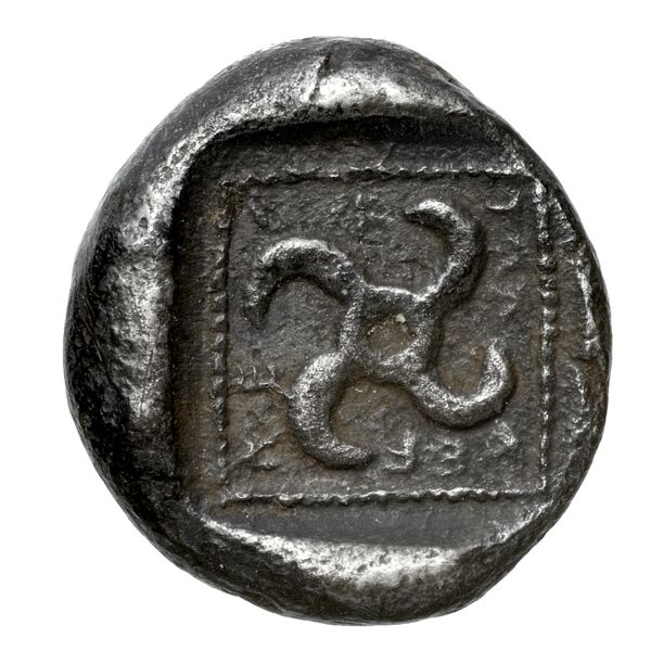 Teththiweibi Phellus Hoff 2017 M263-5, reverse, bnf-iris