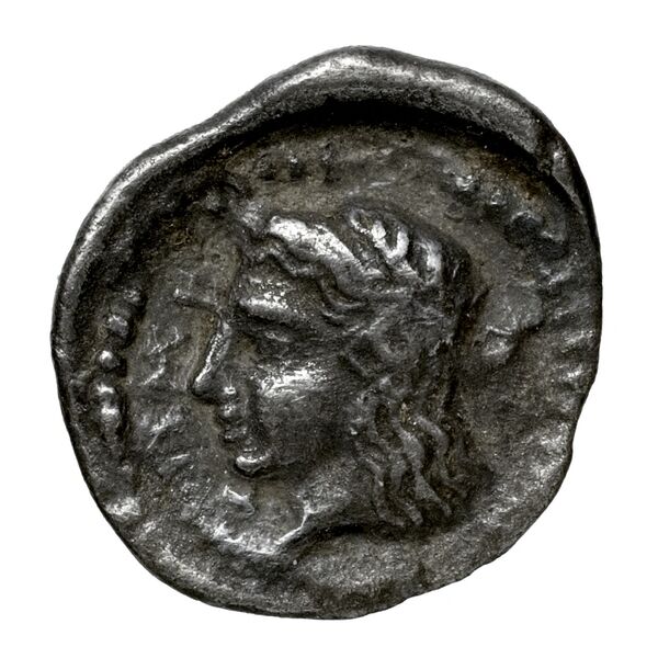 Mithrapata rev
