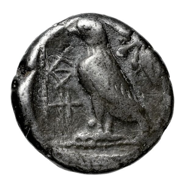 Pny- of Paphos Paphos BMC Paphus 14-16, реверс, bnf-iris