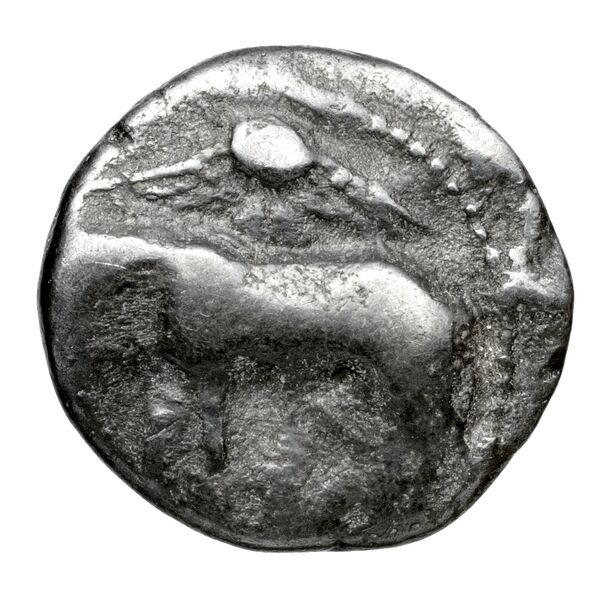 Pny- of Paphos Paphos BMC Paphus 14-16, аверс, bnf-iris