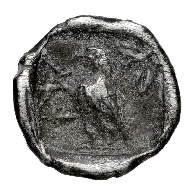 реверс Paphos Babelon 1898 4832
