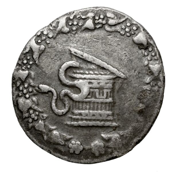 аверс Apamea in Phrygia Ashton 2004 pl. 9, 12