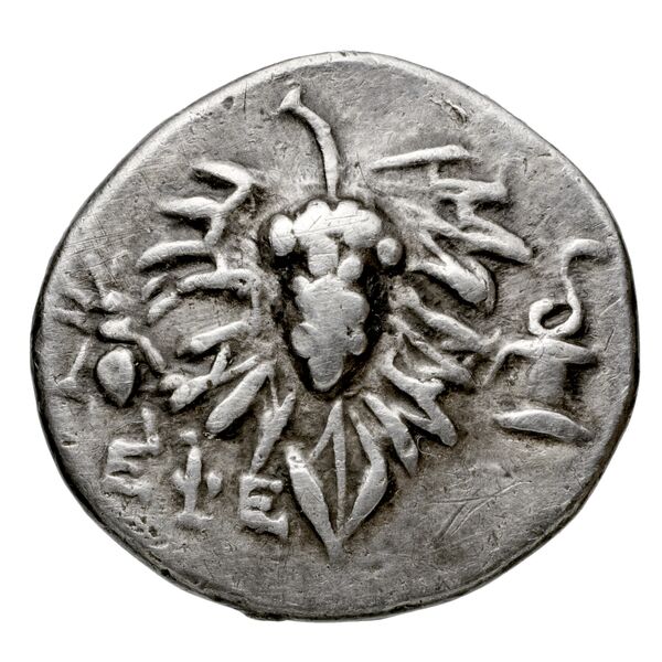 obverse Ephesus Kleiner and Noe 1977 28 drachm