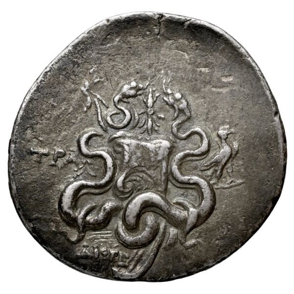 Tralles Kleiner and Noe 1977 40, реверс, bnf-iris