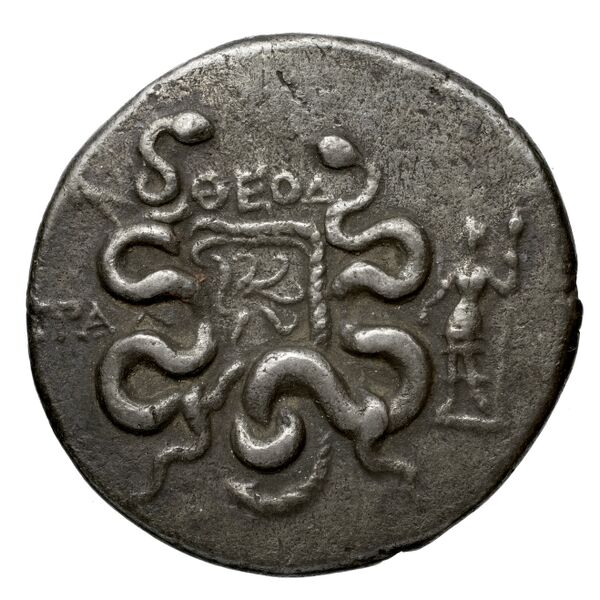 Tralles Carbone 2020 XXXI, tetradrachms, реверс, bnf-iris