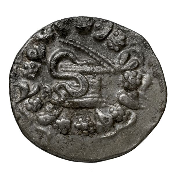 Tralles Carbone 2020 XXXIII, tetradrachms, аверс, bnf-iris