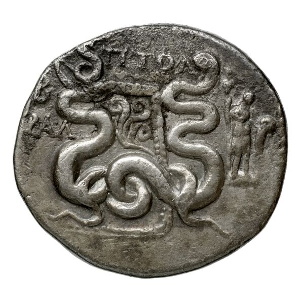 Tralles Carbone 2020 XXXIII, tetradrachms, реверс, bnf-iris