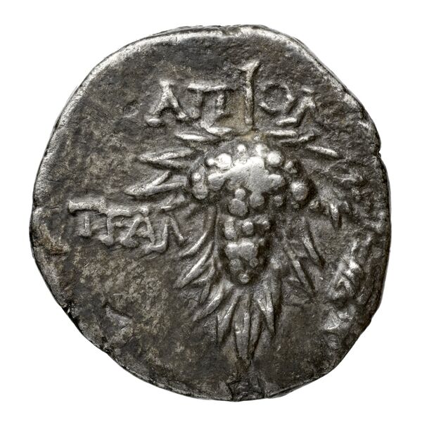 реверс Tralles Carbone 2020 V, didrachms