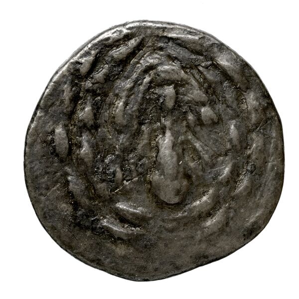 Tralles Carbone 2020 XIV, didrachms, аверс, bnf-iris