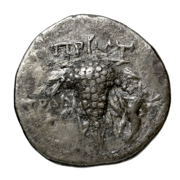Tralles Carbone 2020 XIV, didrachms, реверс, bnf-iris