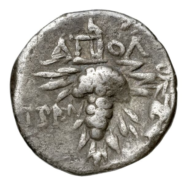 реверс Tralles Carbone 2020 VIII, drachms