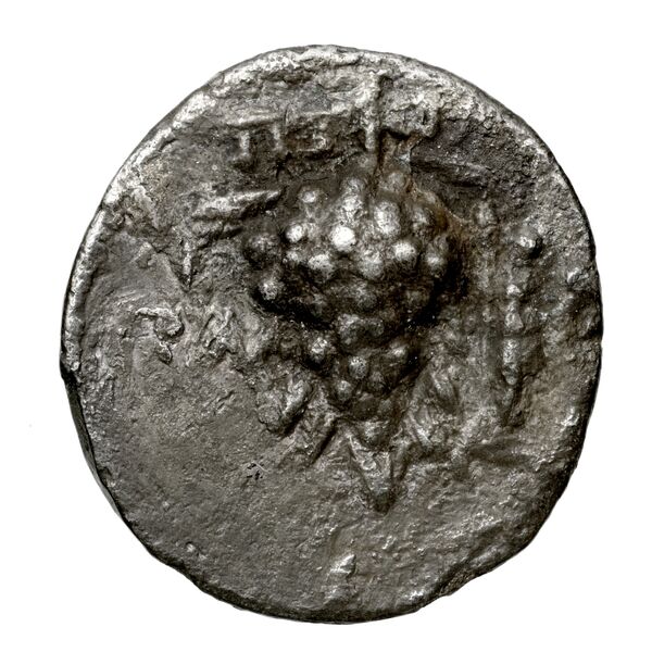 Tralles Carbone 2020 IX, drachms, реверс, bnf-iris