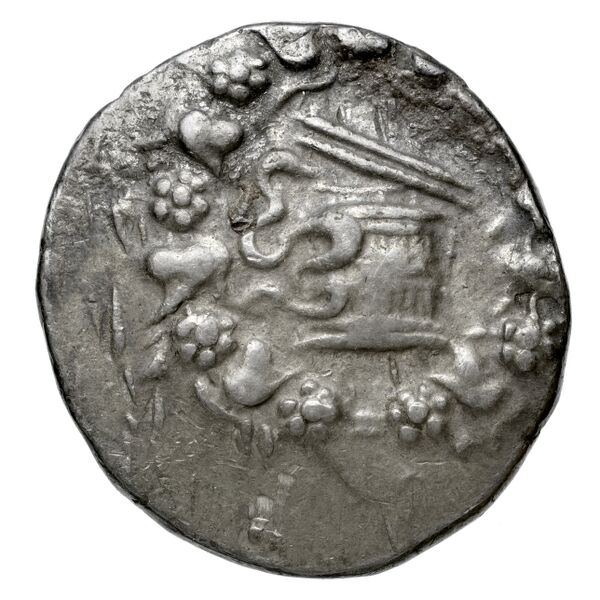 Apamea in Phrygia Kleiner 1979 XVIII, аверс, bnf-iris