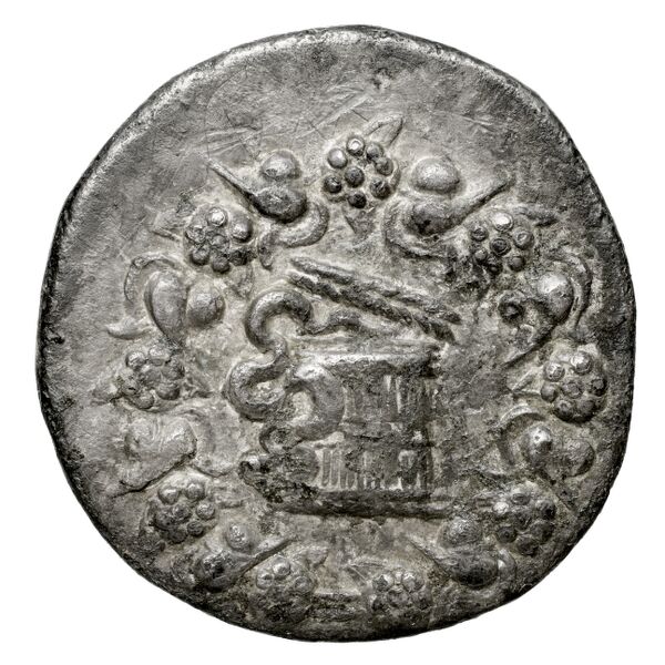 аверс P. Lentulus P.f., governor of Cilicia Apamea in Phrygia Metcalf 2017 V