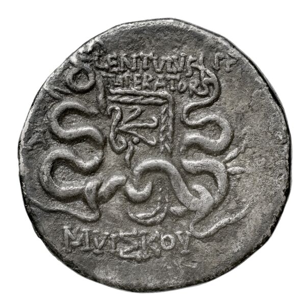 P. Lentulus P.f., governor of Cilicia Apamea in Phrygia Metcalf 2017 VI, реверс, bnf-iris
