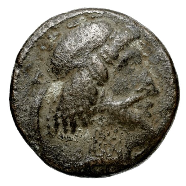 Attambelus VI of Characene Charax Spasinou BMC Characene pl. 44, 6, аверс, bnf-iris