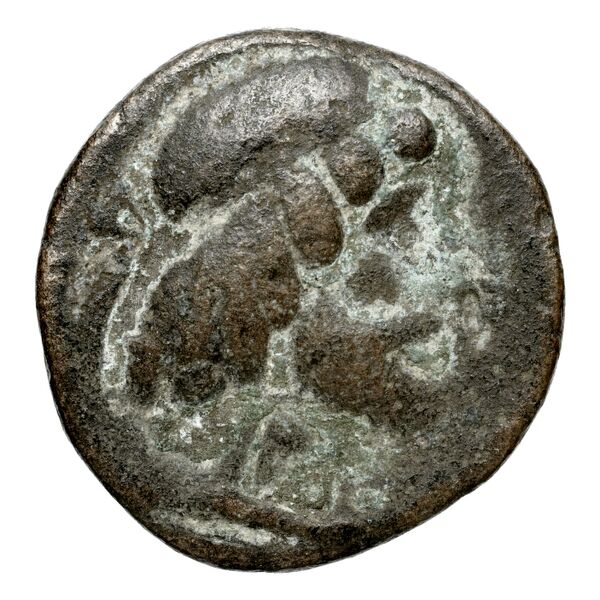 Attambelus VI of Characene Charax Spasinou BMC Characene pl. 44, 6, аверс, bnf-iris