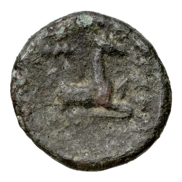 reverse Ephesus Kinns and Holt 2023 Period V, AE XX