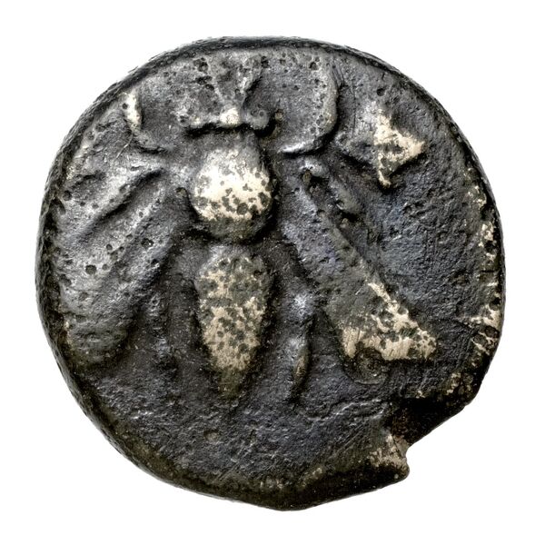 Ephesus Kinns and Holt 2023 Period II, AE VI, аверс, bnf-iris