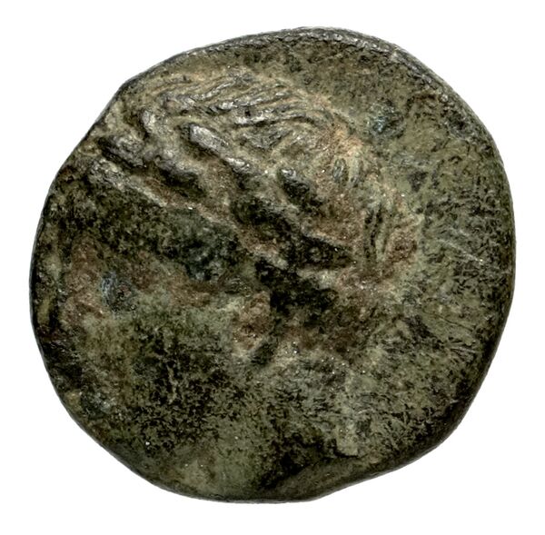 Magnesia ad Maeandrum BMC Magnesia 17-18, аверс, bnf-iris