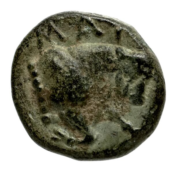 Magnesia ad Maeandrum BMC Magnesia 17-18, реверс, bnf-iris