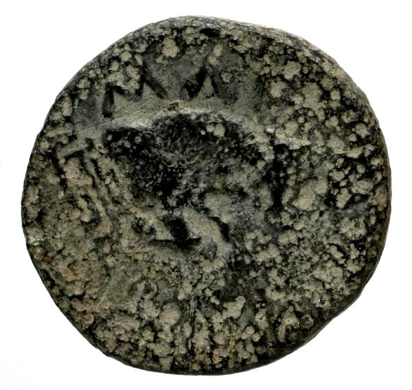 Magnesia ad Maeandrum BMC Magnesia 17-18, реверс, bnf-iris