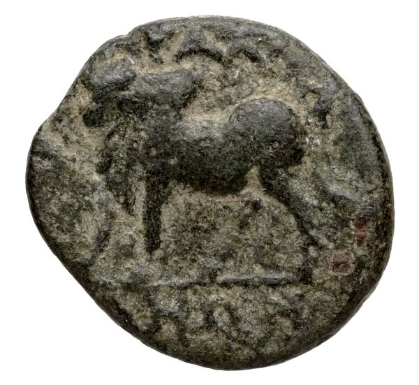 Tralles BMC Tralles 63-5, reverse, bnf-iris