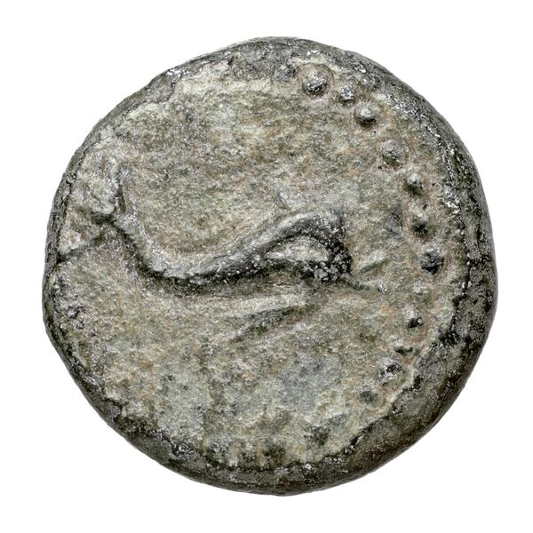 Attaleia SNG Paris 241-43, obverse, bnf-iris