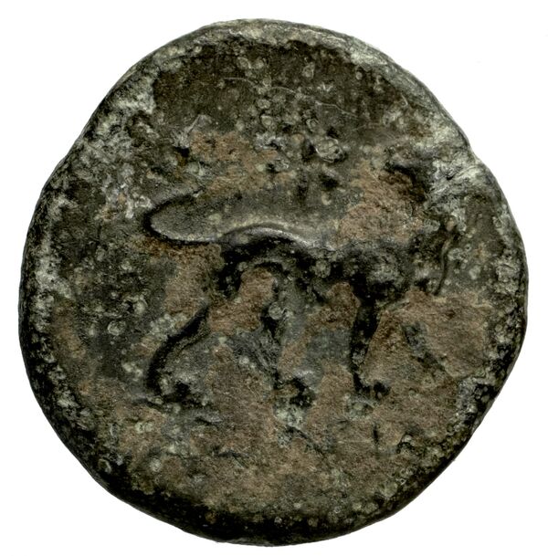 Miletus Marcellesi 2004 35, реверс, bnf-iris