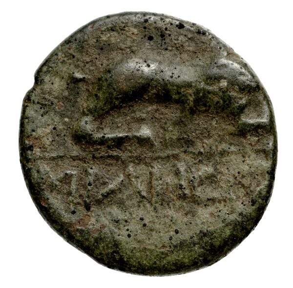 Miletus Marcellesi 2004 56, реверс, bnf-iris