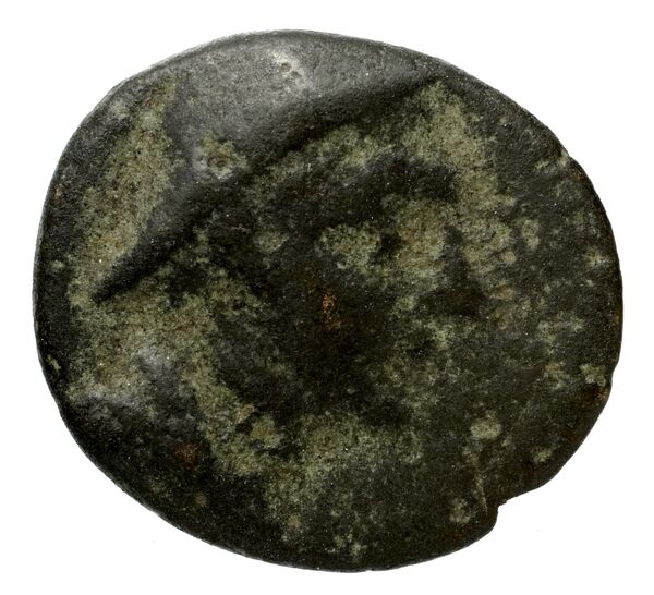Phocaea BMC Phocaea 103-8, аверс, bnf-iris