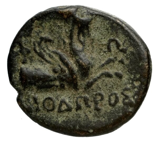 Phocaea BMC Phocaea 103-8, реверс, bnf-iris