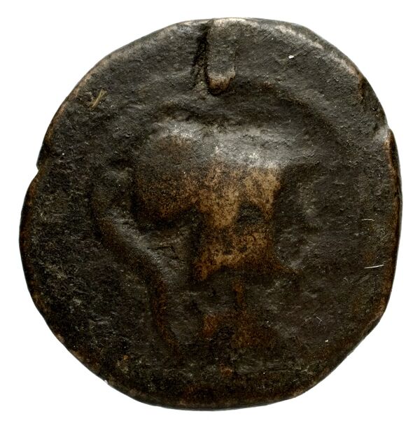 Phocaea BMC Phocaea 109-13, аверс, bnf-iris
