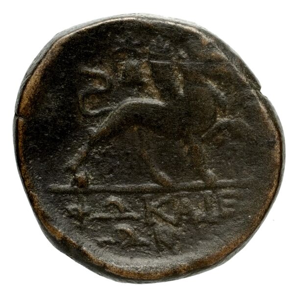 Phocaea BMC Phocaea 109-13, реверс, bnf-iris