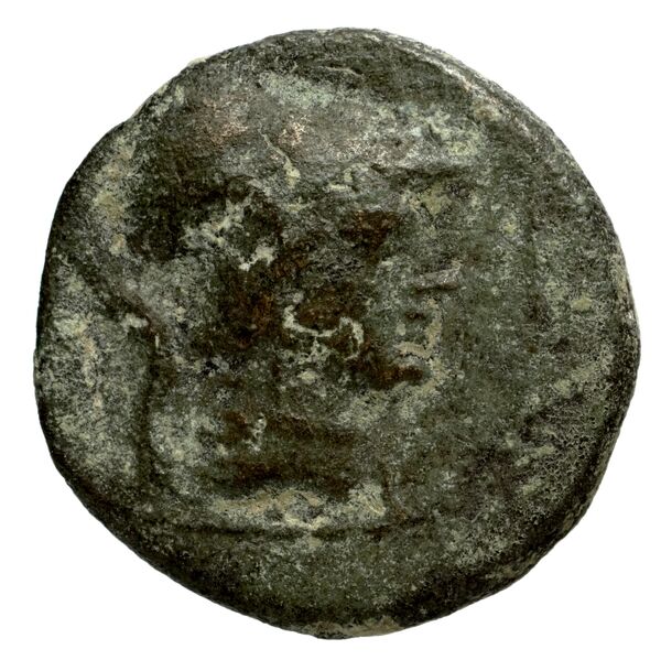 Phocaea BMC Phocaea 109-13, аверс, bnf-iris