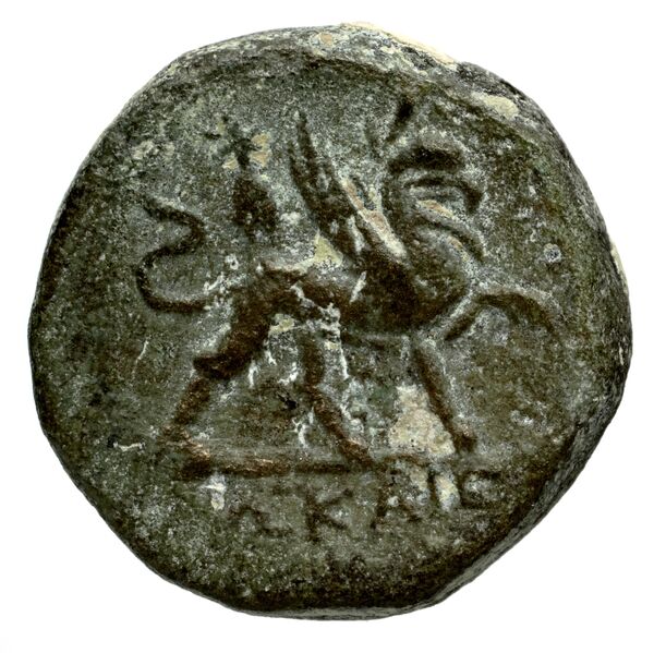 Phocaea BMC Phocaea 109-13, реверс, bnf-iris