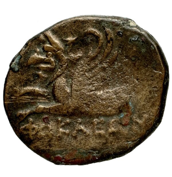 Phocaea BMC Phocaea 101-2, реверс, bnf-iris