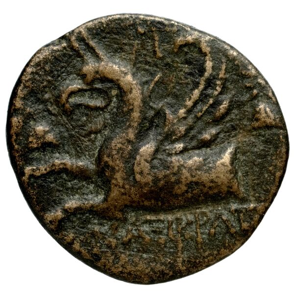 Phocaea BMC Phocaea 101-2, реверс, bnf-iris