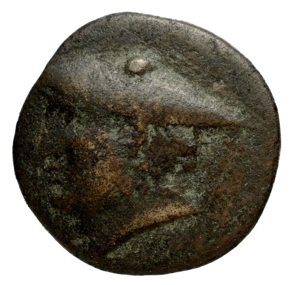 Phocaea BMC Phocaea 103-8, аверс, bnf-iris
