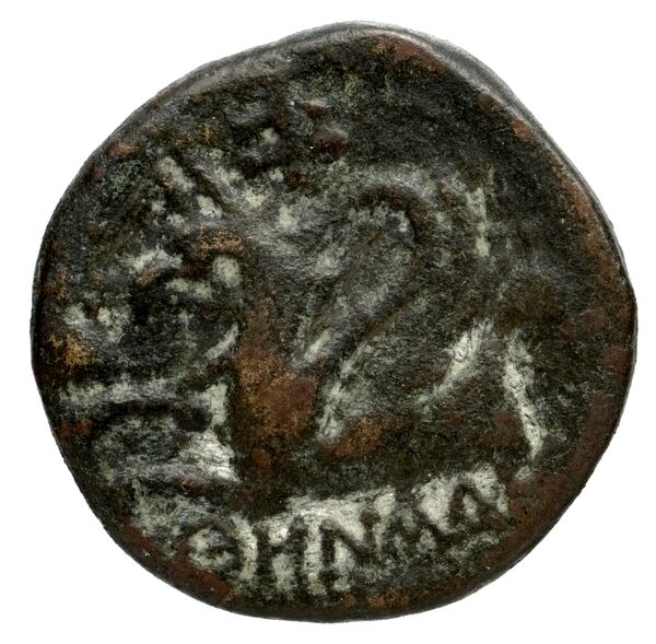 Phocaea BMC Phocaea 103-8, реверс, bnf-iris