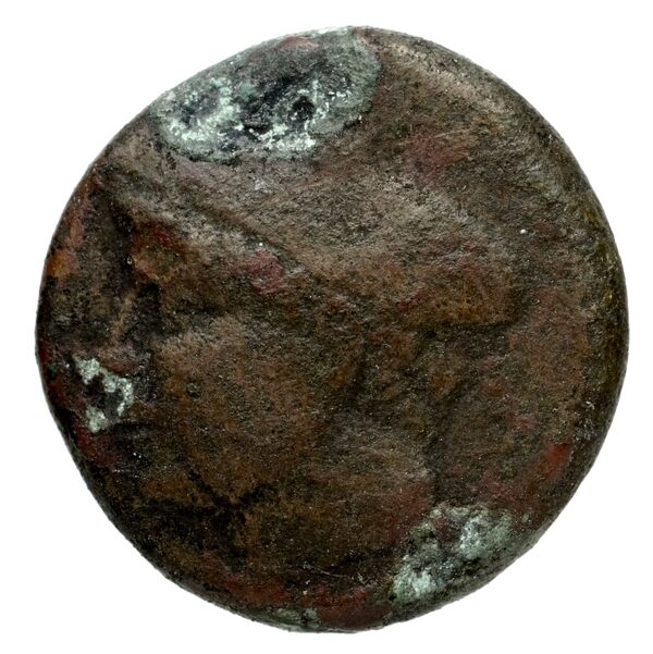 Phocaea BMC Phocaea 101-2, аверс, bnf-iris