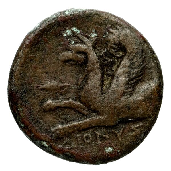 Phocaea BMC Phocaea 101-2, реверс, bnf-iris