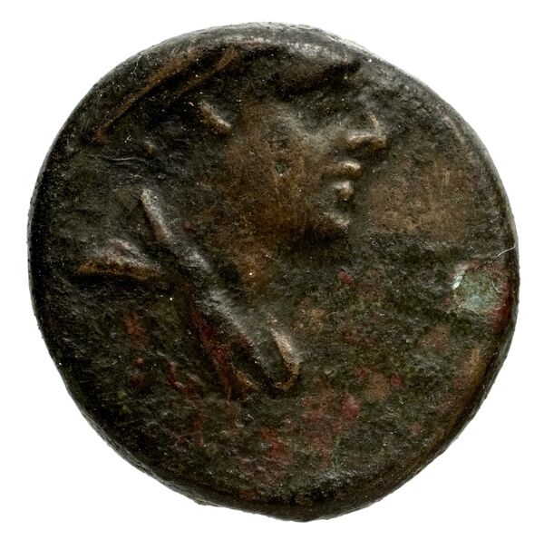 Phocaea BMC Phocaea 103-8, аверс, bnf-iris