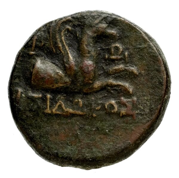 Phocaea BMC Phocaea 103-8, реверс, bnf-iris