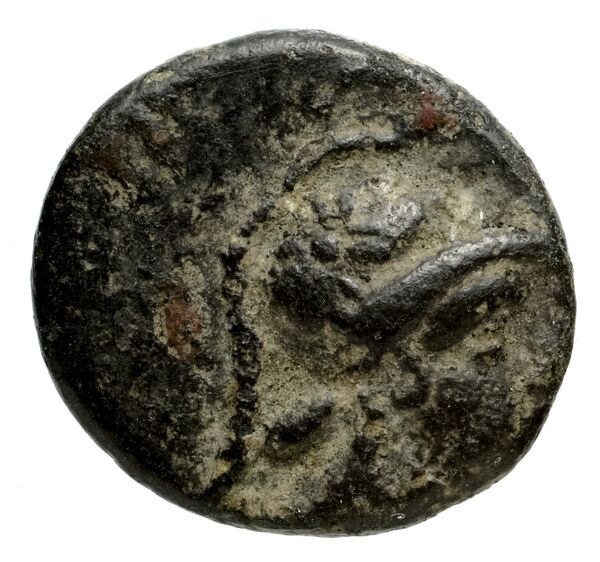 Phocaea BMC Phocaea 109-13, аверс, bnf-iris