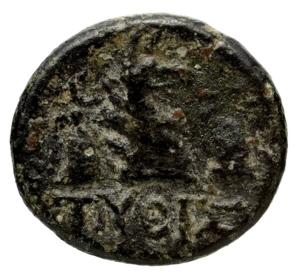 Phocaea BMC Phocaea 109-13, реверс, bnf-iris